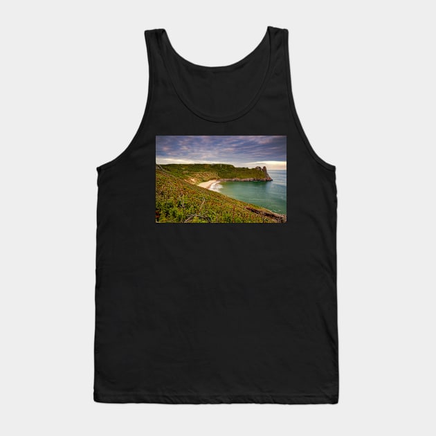 Great Tor and Tor Bay, Gower Tank Top by dasantillo